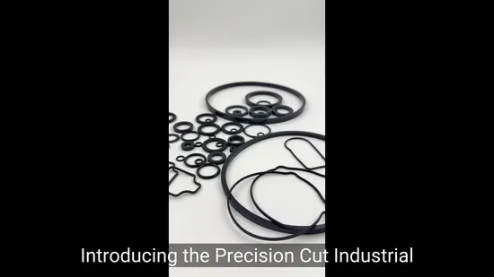 Precision Cut Industrial Equipment Seals Rubber O-Ring